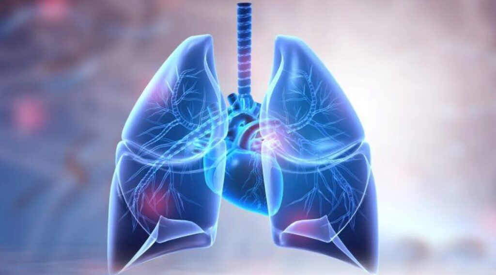 Pulse: Asian, Black, Hispanic Patients More Likely Pulse Oximetry (SPO2 ...