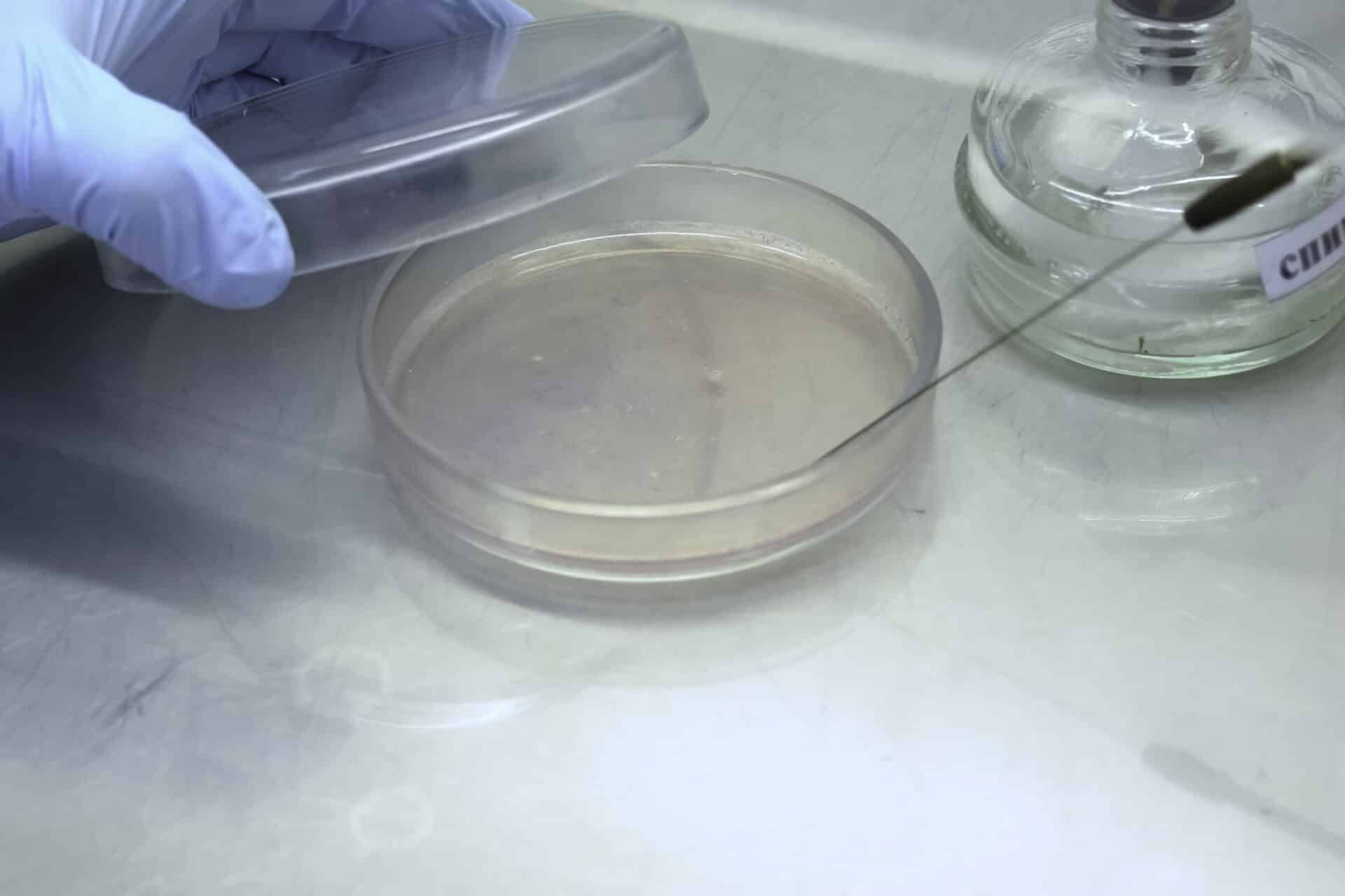 Chlamydia Vaccine Shows Promise in Animal Studies